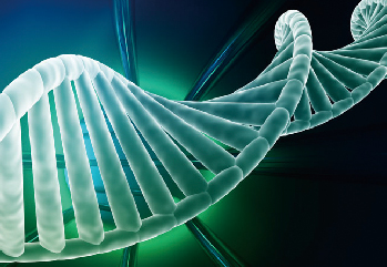 生命科学/基因工程